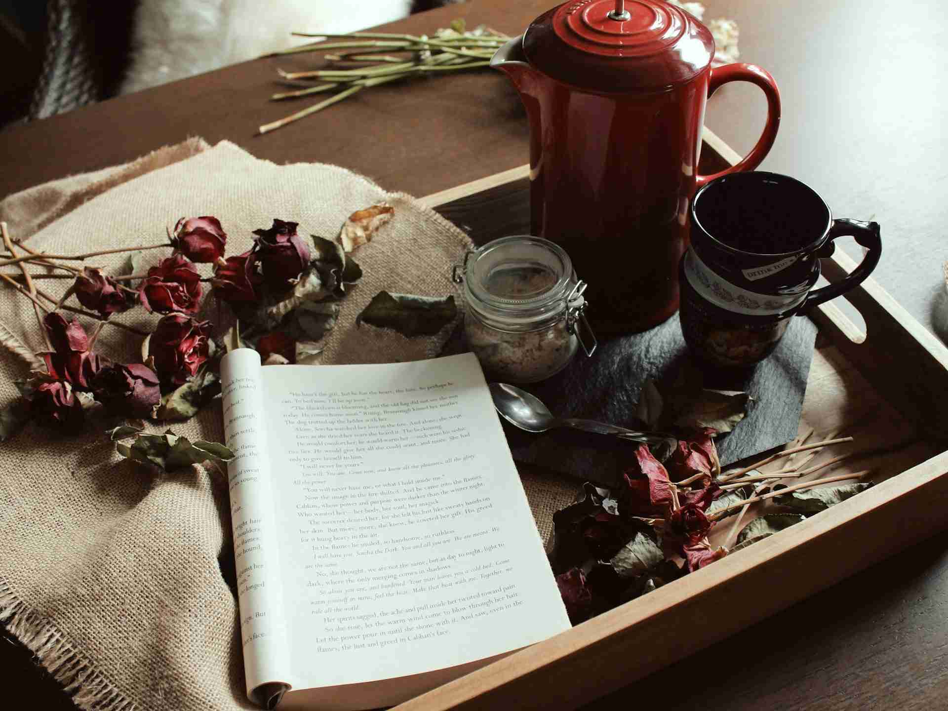 A wooden serving tray holding fresh herbs, a cup of tea, and an open book — a visual for nourishment, warmth, and slow, thoughtful eating.