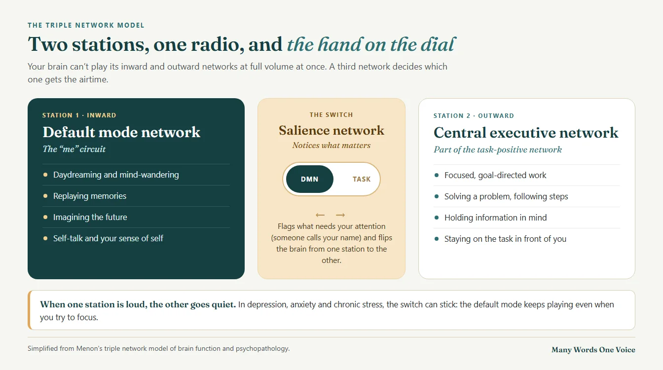 Infographic of the triple network model: the default mode network handles inward thought, the central executive network handles focused work, and the salience network acts as the switch between them